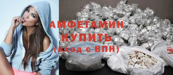 молекула духа Алексин