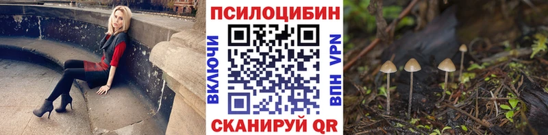 как найти   Новомичуринск  KRAKEN как войти  Псилоцибиновые грибы Psilocybine cubensis 