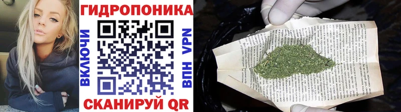 Канабис сатива  магазин продажи наркотиков  Новомичуринск 